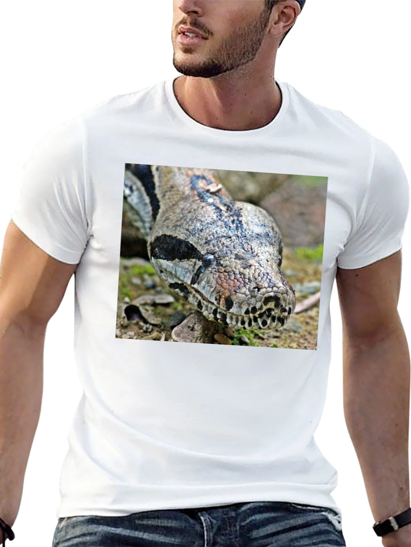 Boa Constrictor Graphic Tee - Reptile Lover