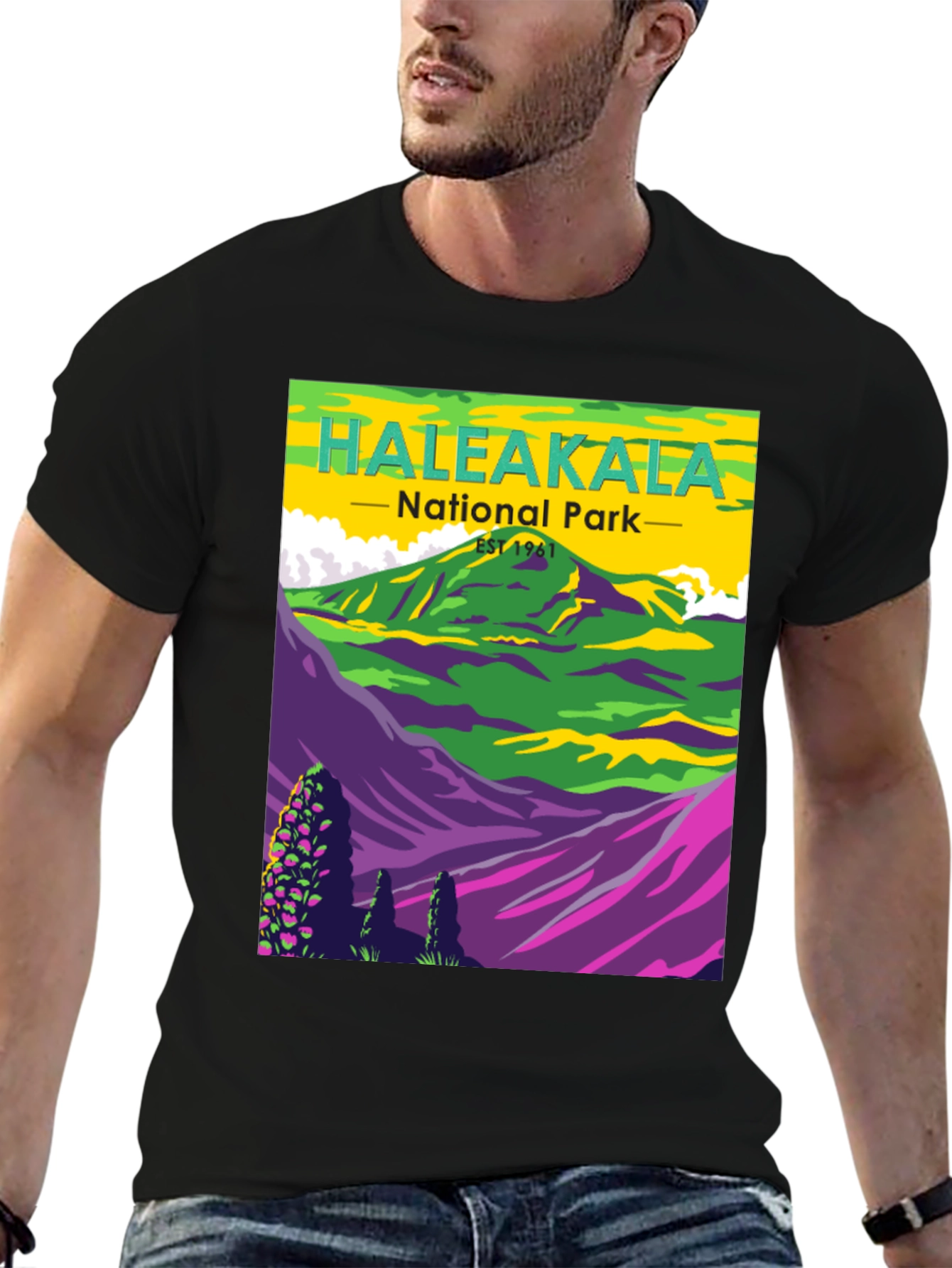 Haleakala National Park Graphic T-Shirt