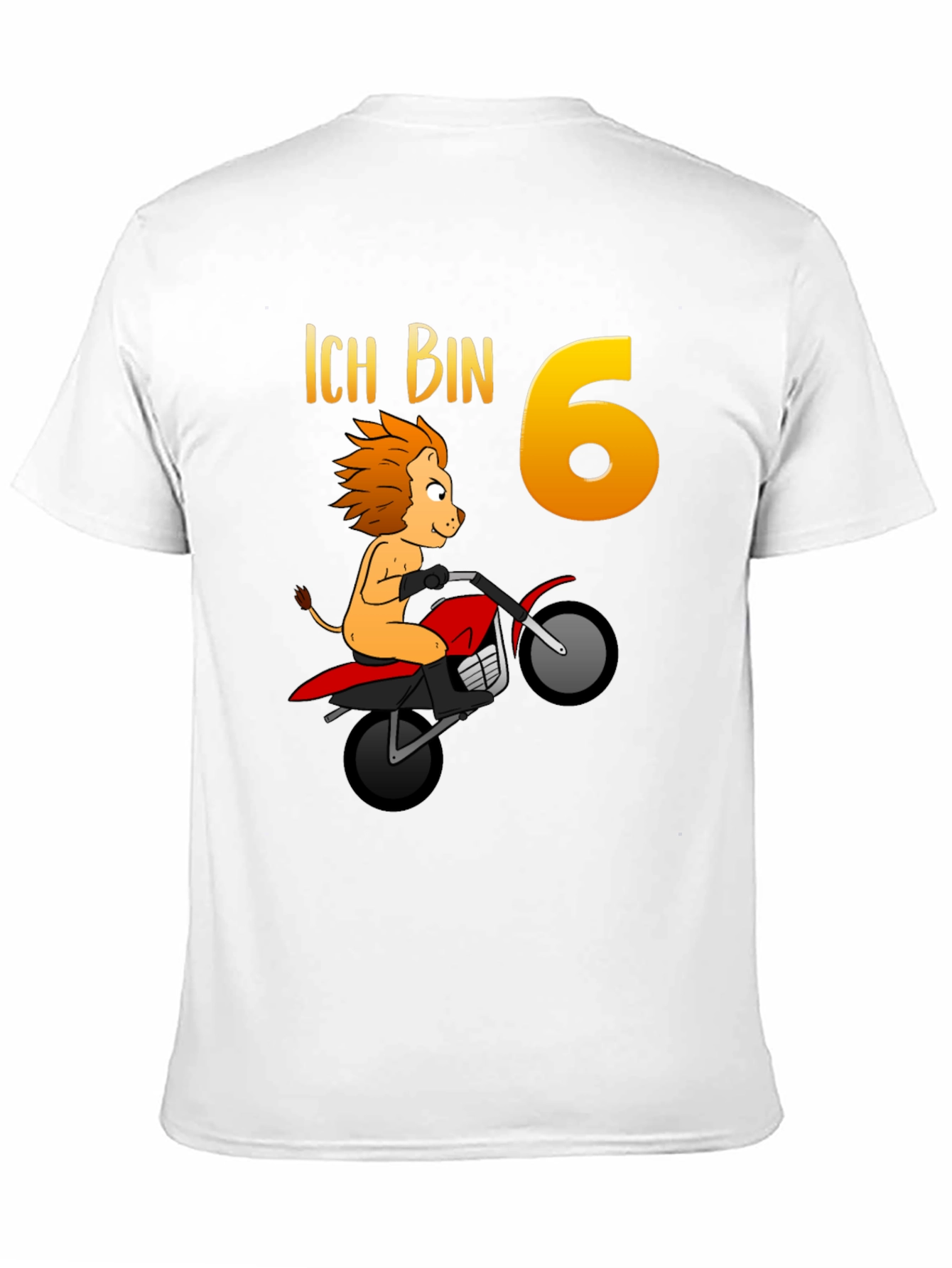 Lion 6th Birthday T-Shirt
