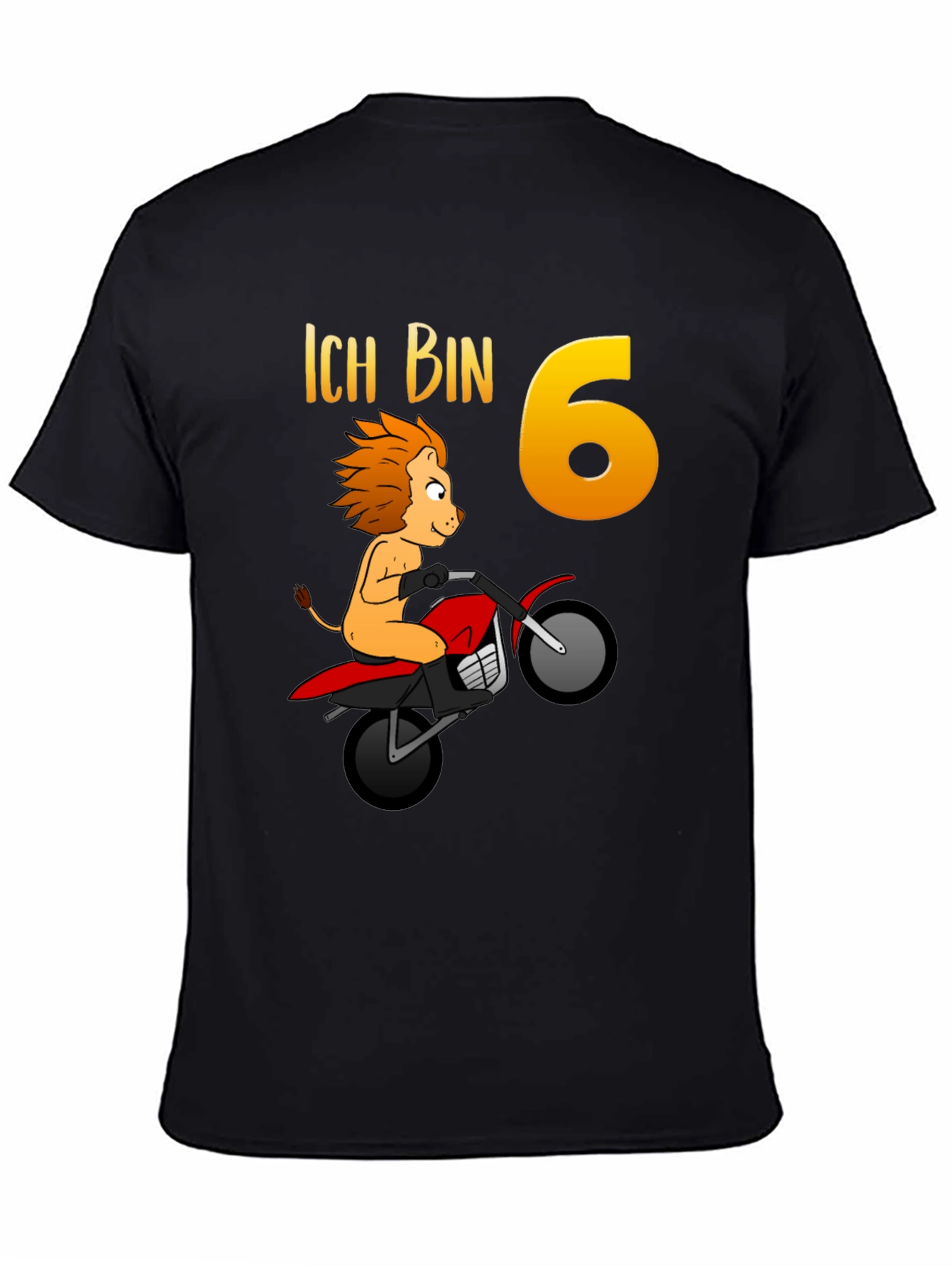 Lion 6th Birthday T-Shirt