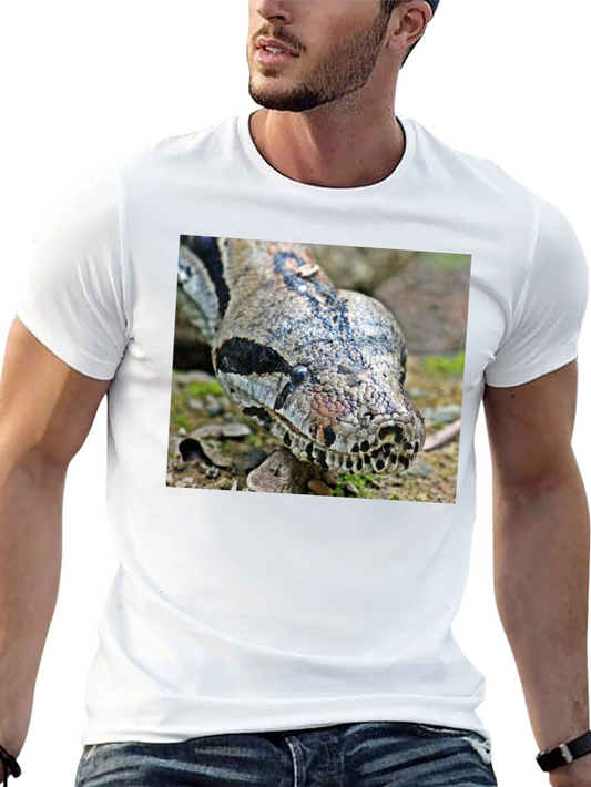 Boa Constrictor Graphic Tee - Reptile Lover