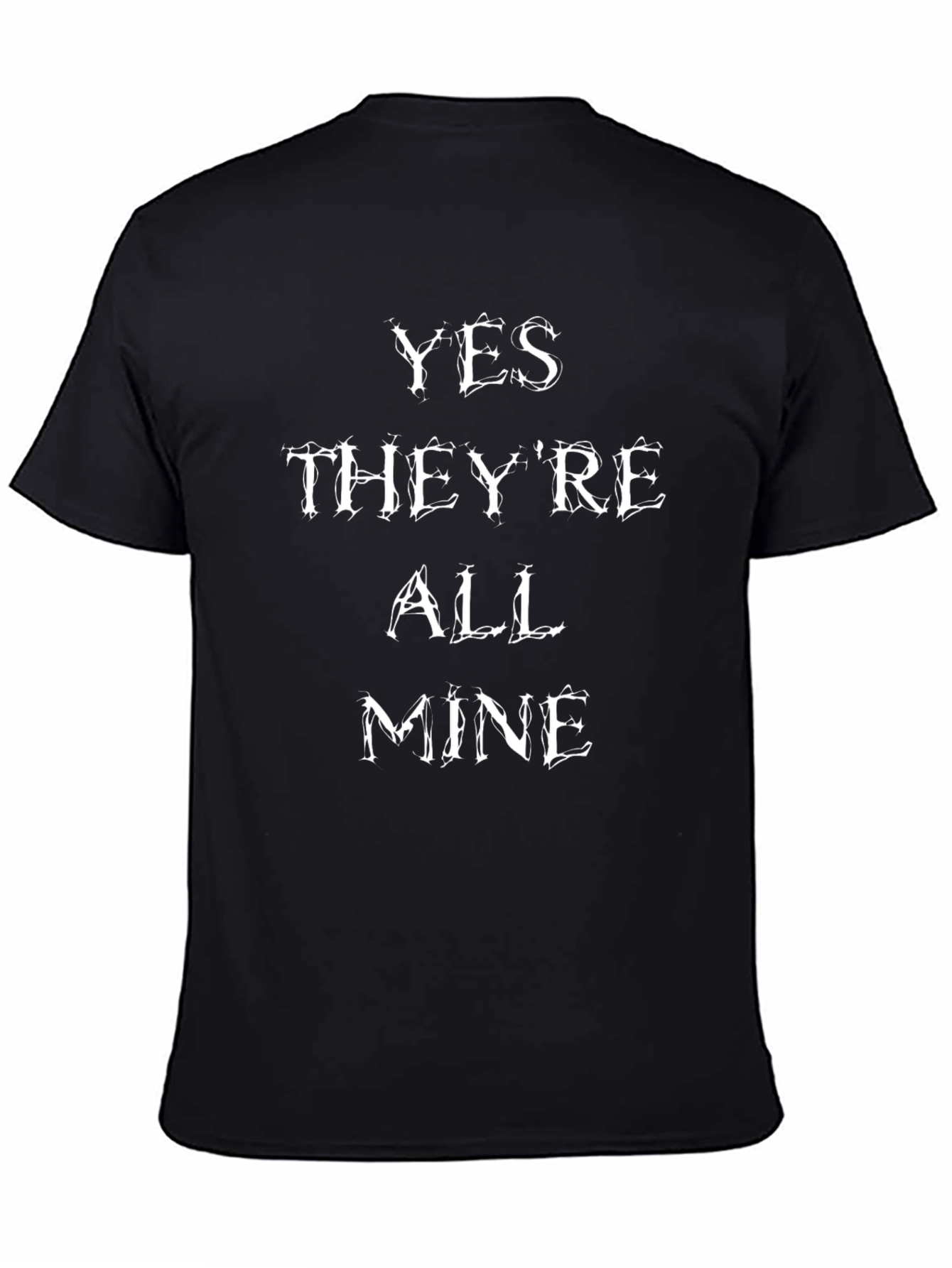 Funny Yes Theyre All Mine Graphic Novelty T-Shirt