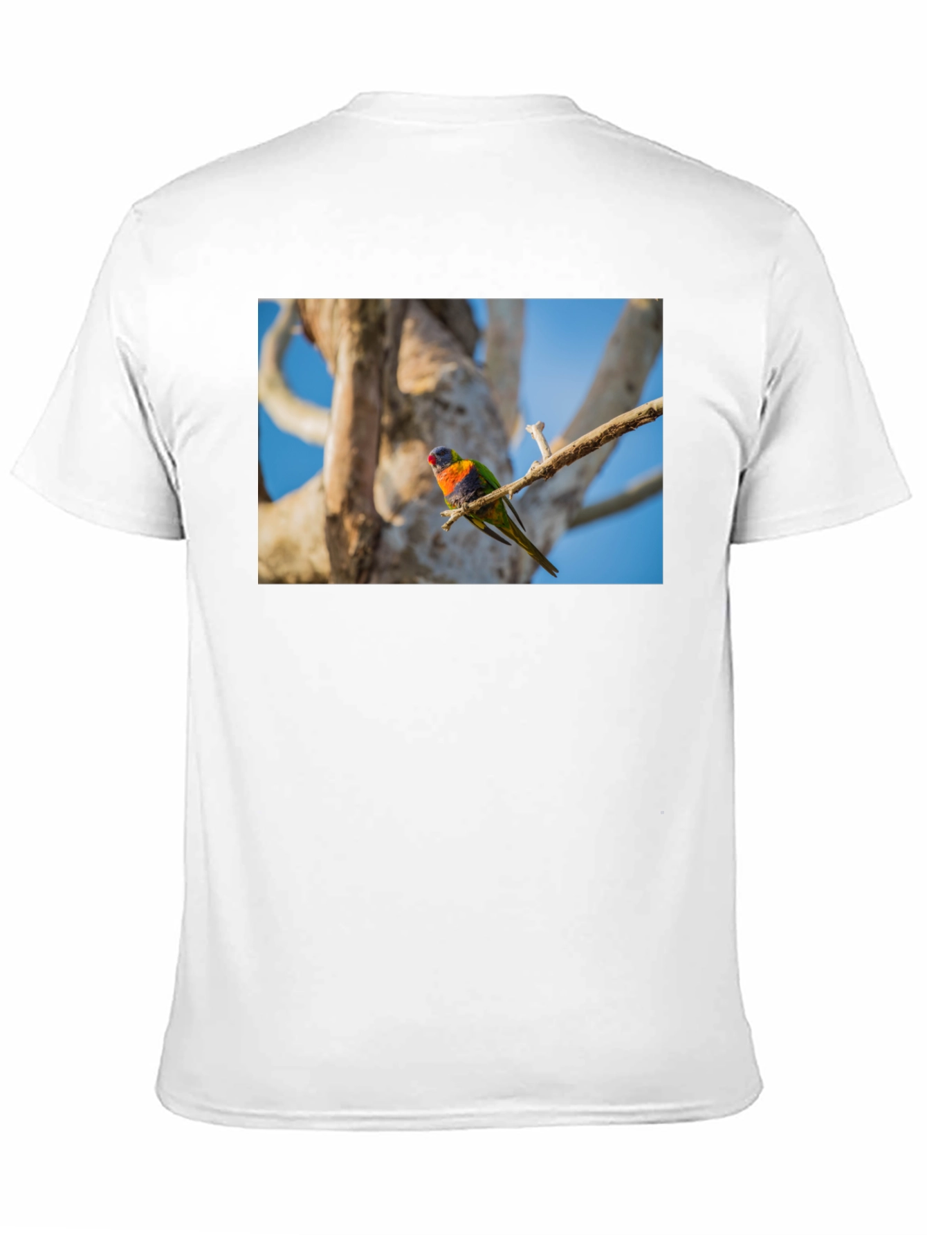 Rainbow Lorikeet Bird Graphic Tee