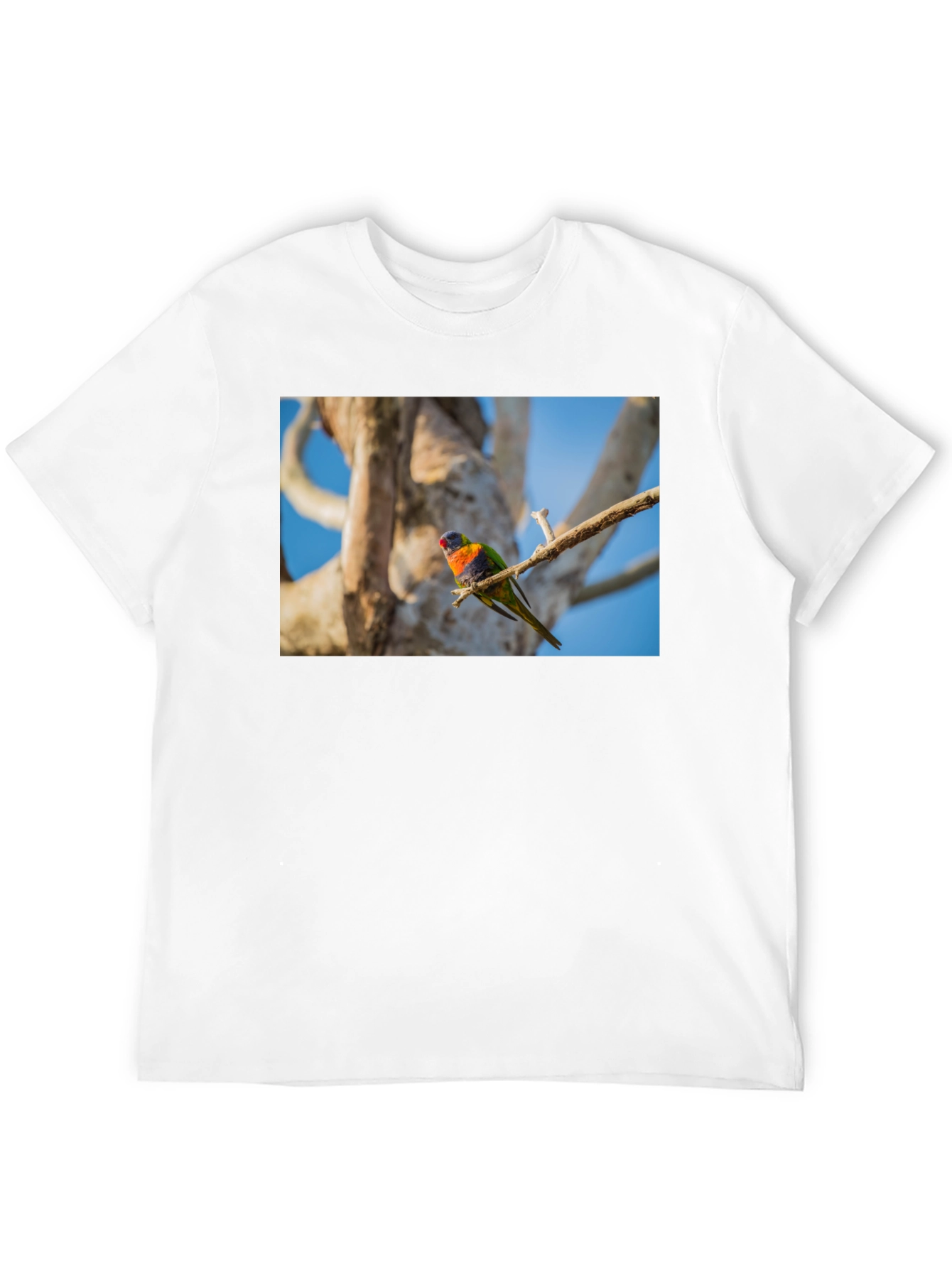 Rainbow Lorikeet Bird Graphic Tee