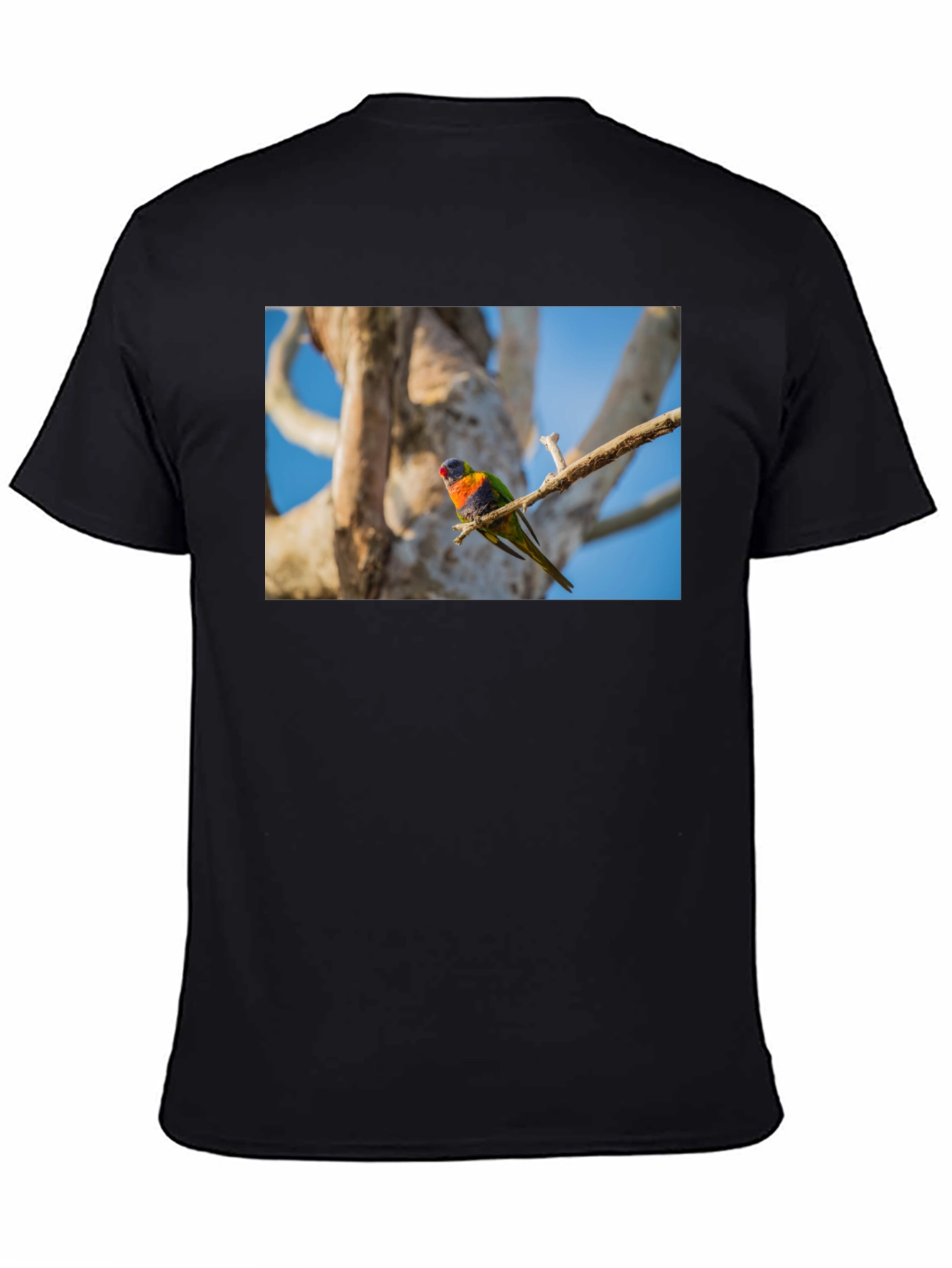 Rainbow Lorikeet Bird Graphic Tee