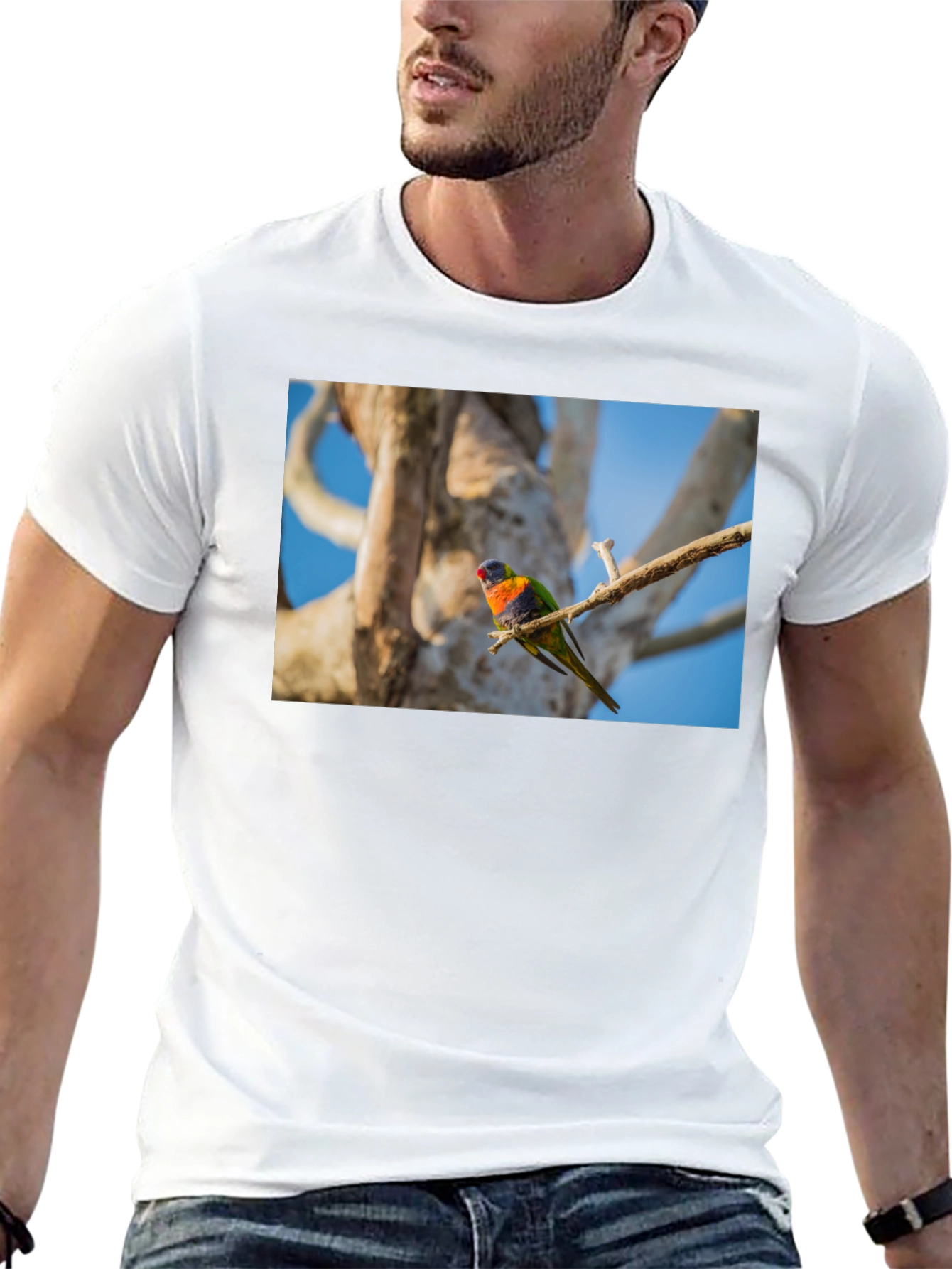 Rainbow Lorikeet Bird Graphic Tee