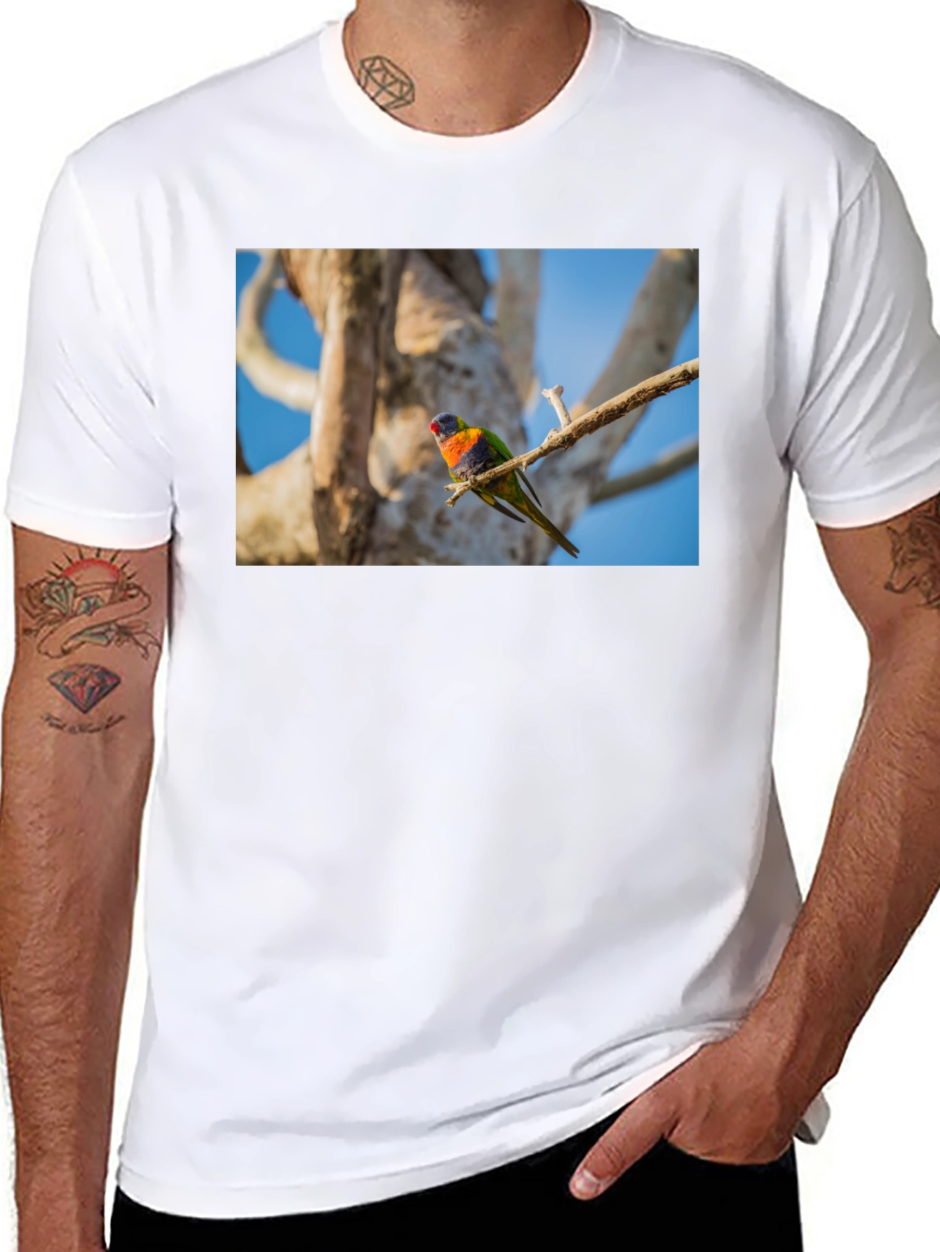 Rainbow Lorikeet Bird Graphic Tee