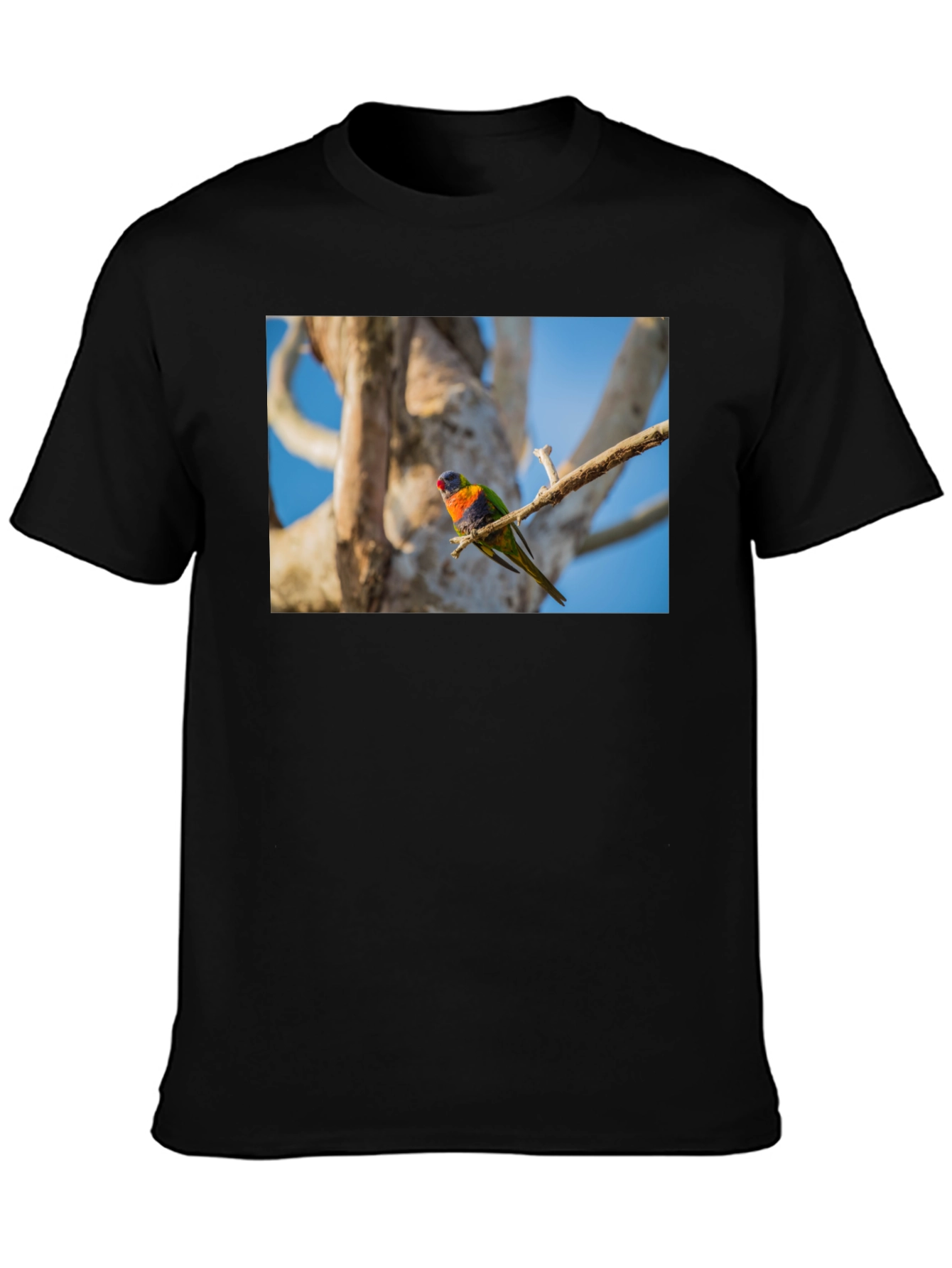 Rainbow Lorikeet Bird Graphic Tee