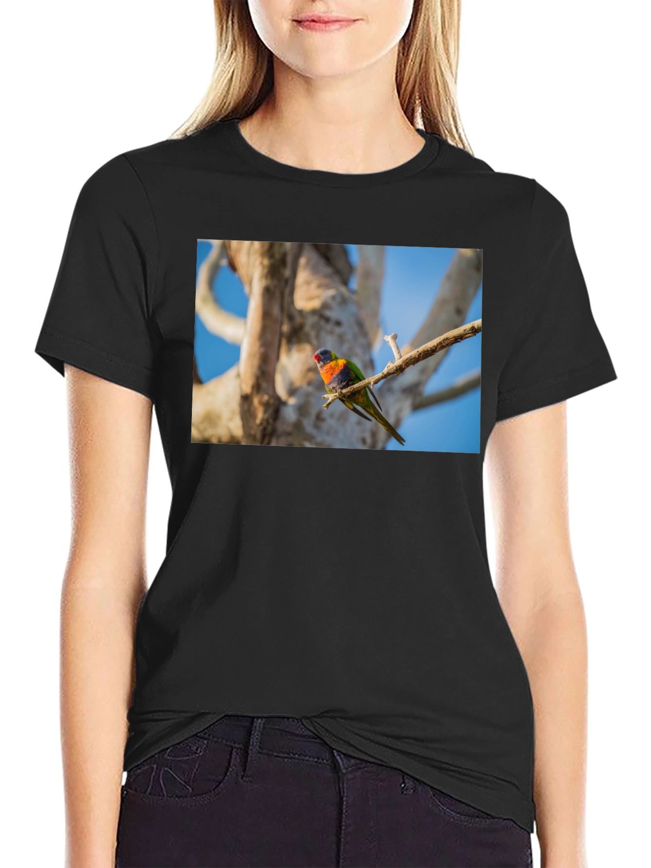Rainbow Lorikeet Bird Graphic Tee