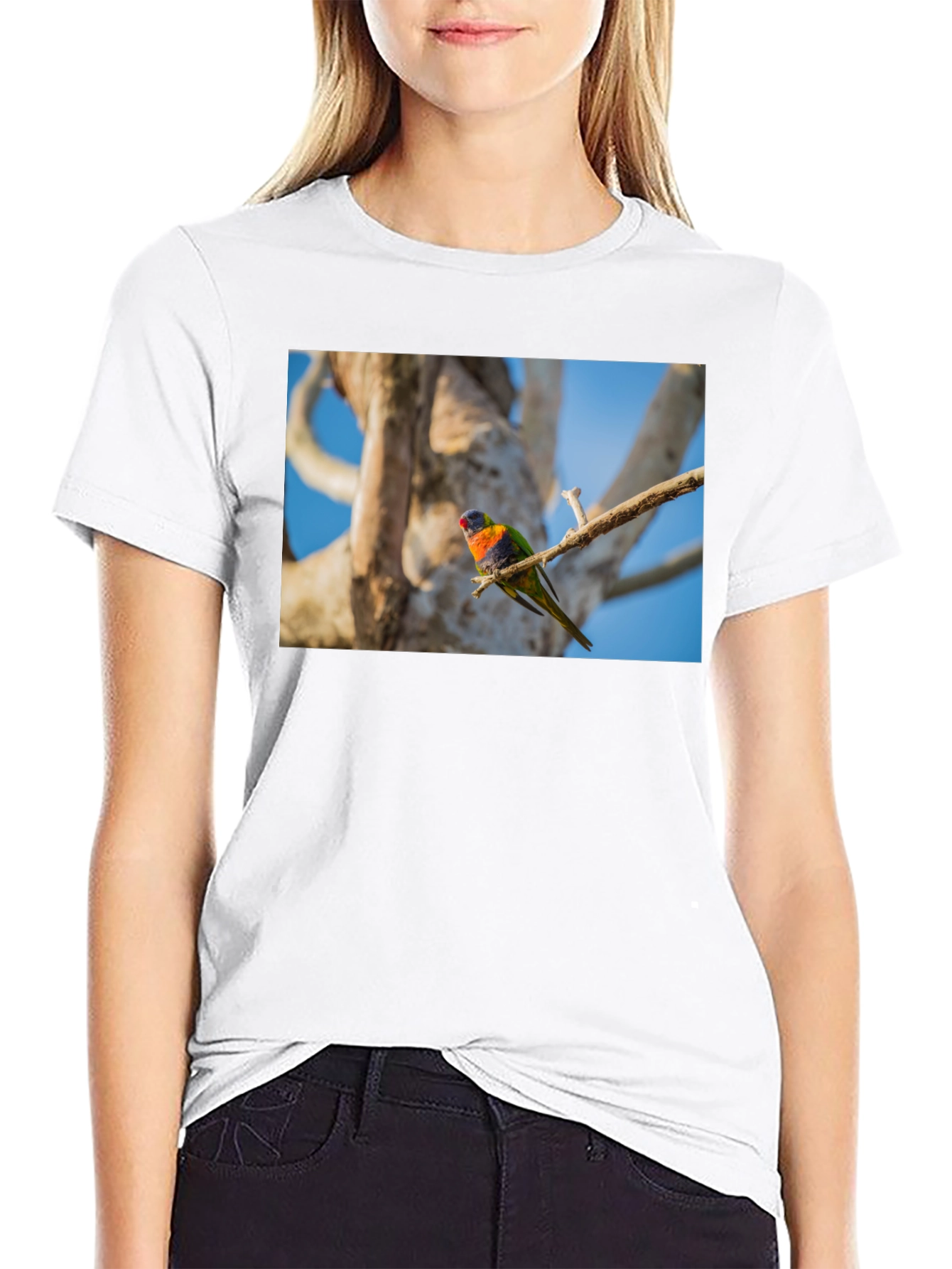 Rainbow Lorikeet Bird Graphic Tee