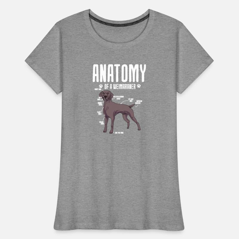 Anatomy Of A Weimaraner