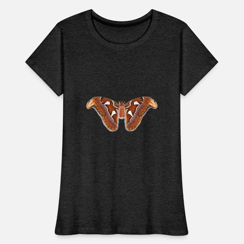 Atlas Moth (TEST)
