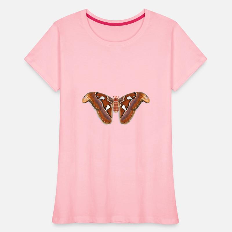 Atlas Moth (TEST)