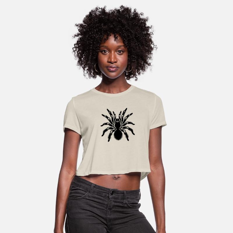 Detailed Tarantula Outline