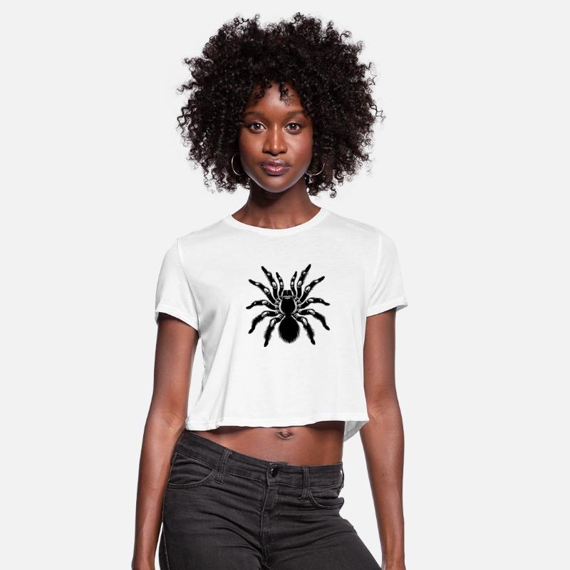 Detailed Tarantula Outline