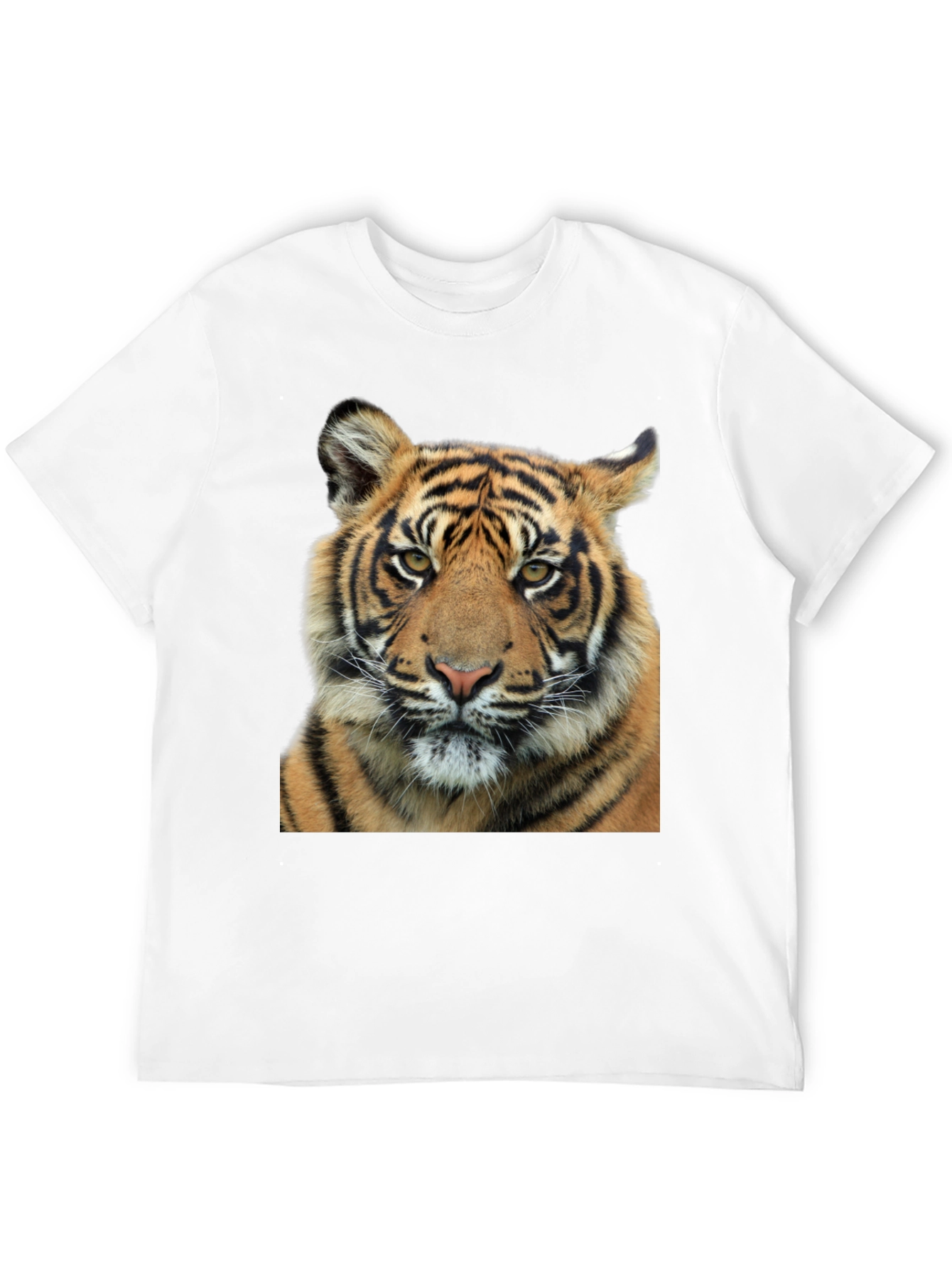 Tiger Graphic Print Black T-Shirt