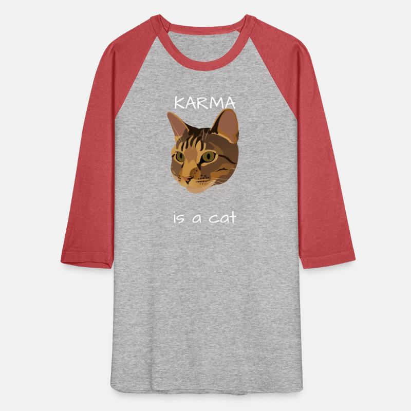 KARMA is a cat