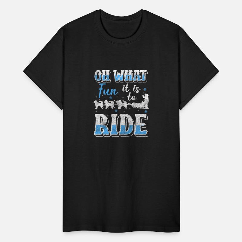 Sleigh Rides Winter Sport