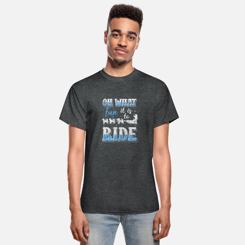 Sleigh Rides Winter Sport