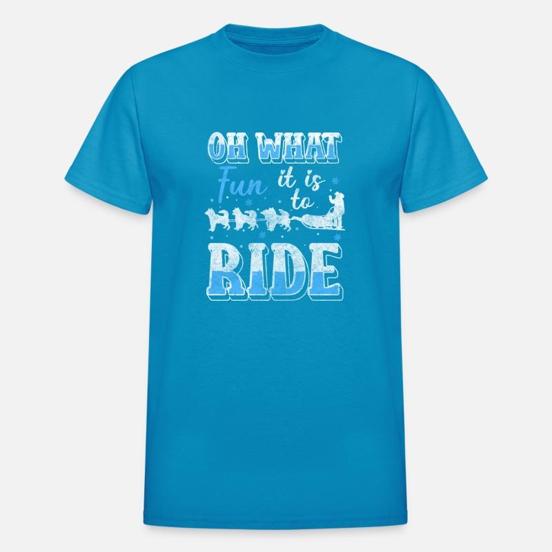 Sleigh Rides Winter Sport