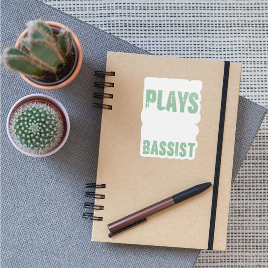 What Kind Of Plays The Guitar BASSIST