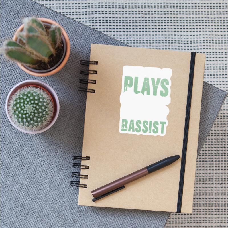 What Kind Of Plays The Guitar BASSIST
