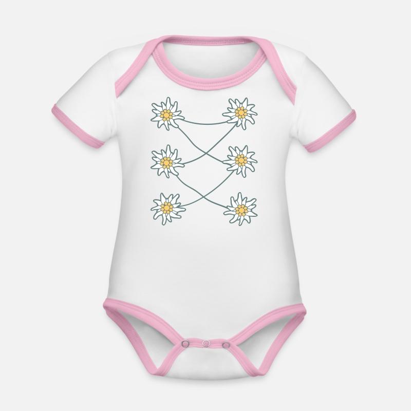 White Alps Edelweiss Flower Mountain Hiking Flower