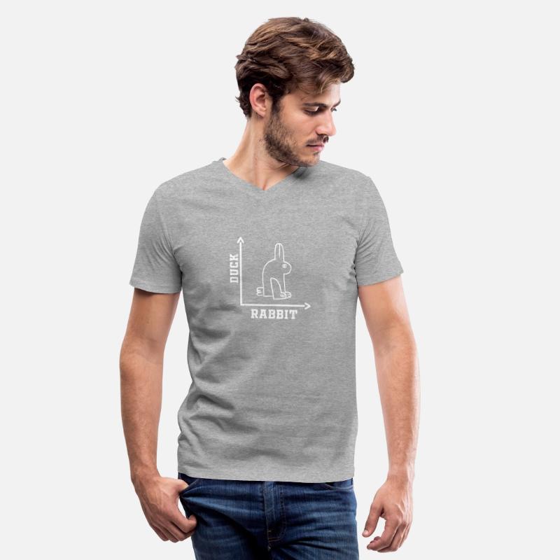 Wittgensteins Rabbit Duck Illusion